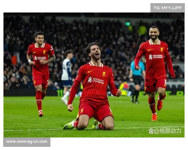 弗格森梅开二度助伯恩茅斯2比2战平布莱顿 英超第4轮精彩收官